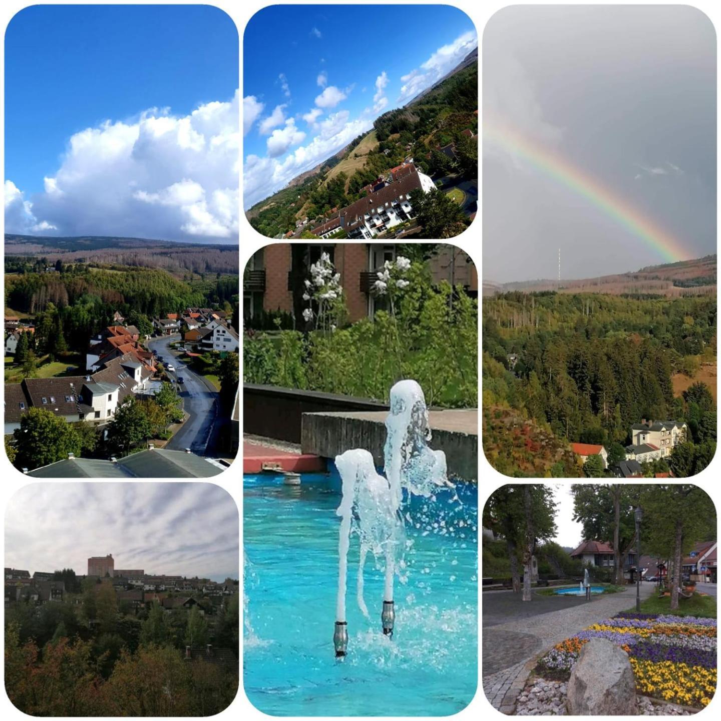Crisand 4 Brockenblick Altenau  Esterno foto